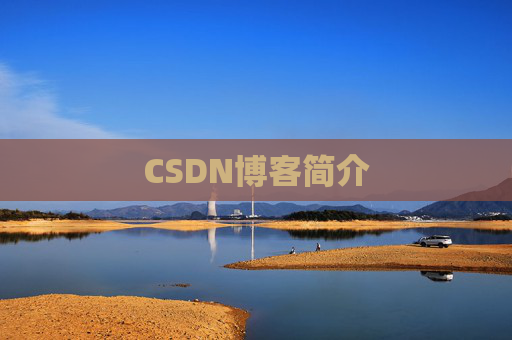 CSDN博客简介